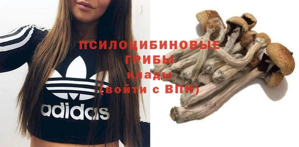 трава Шали