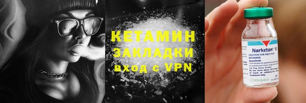 гашик Дмитров