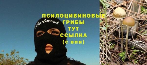 гашиш Дмитриев