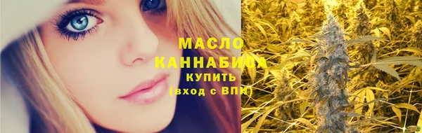 гашик Дмитров