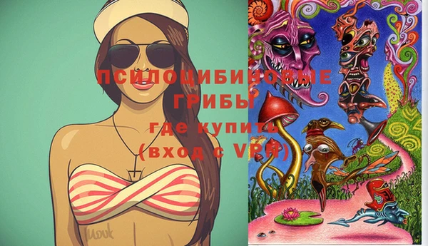 не бодяженный Дмитровск