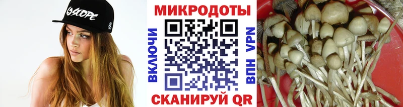 kraken как войти  Фатеж  Галлюциногенные грибы GOLDEN TEACHER 